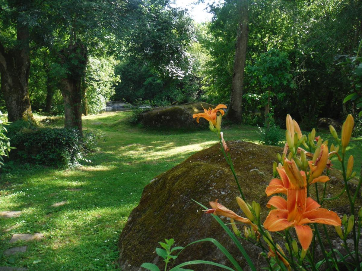 Village De Gites Du Moulin Neuf Getigne Exterior photo